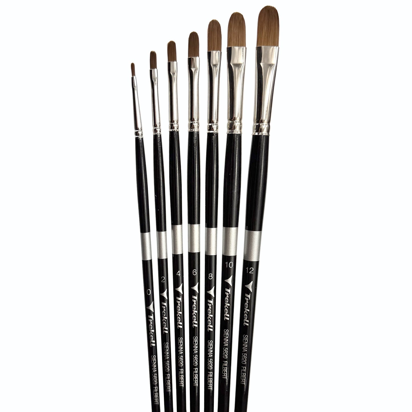 Trekell Sienna Complete Filbert Brush Set - Long Handle