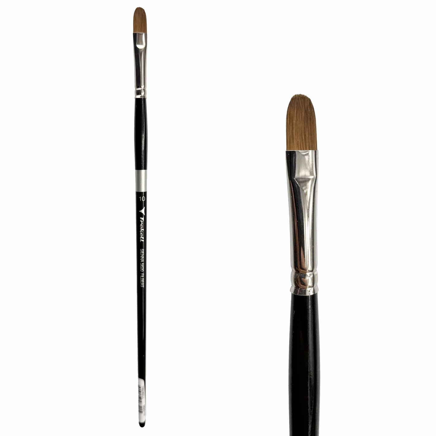 Trekell Sienna #10 Filbert Brush - Long Handle