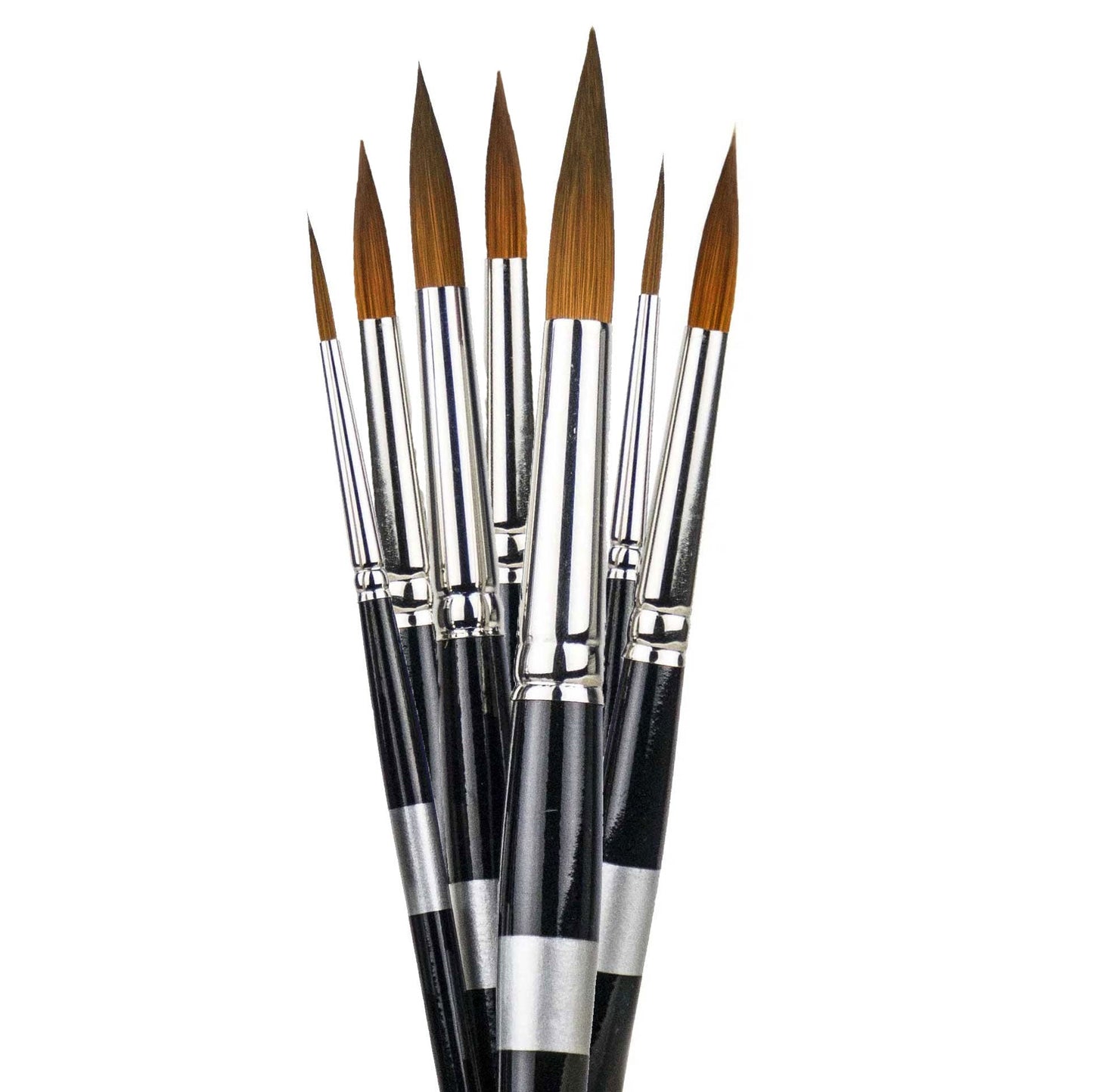 Trekell Protégé Plus Brushes